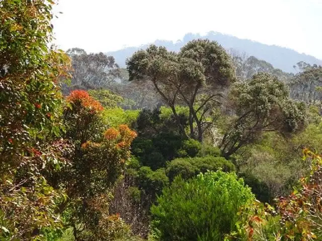 Sixth view of Homely house listing, 35 Woodward Heights, Denmark WA 6333