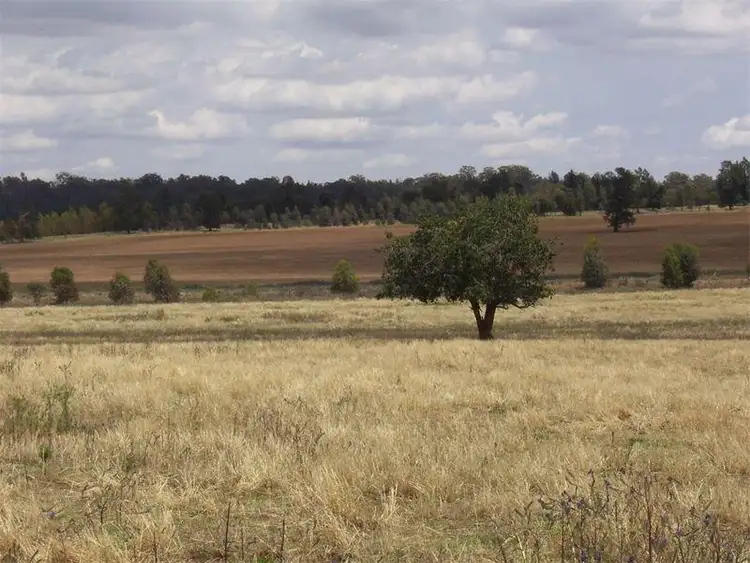 Fourth view of Homely land listing, Lot 1 Cookamidgera Road, Parkes NSW 2870