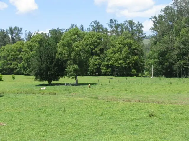 Seventh view of Homely rural property listing, 418 Upper Crystal Creek Road, Crystal Creek NSW 2484