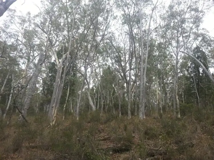 Sixth view of Homely rural property listing, Lot 9 Warrumba Road, Cowra NSW 2794