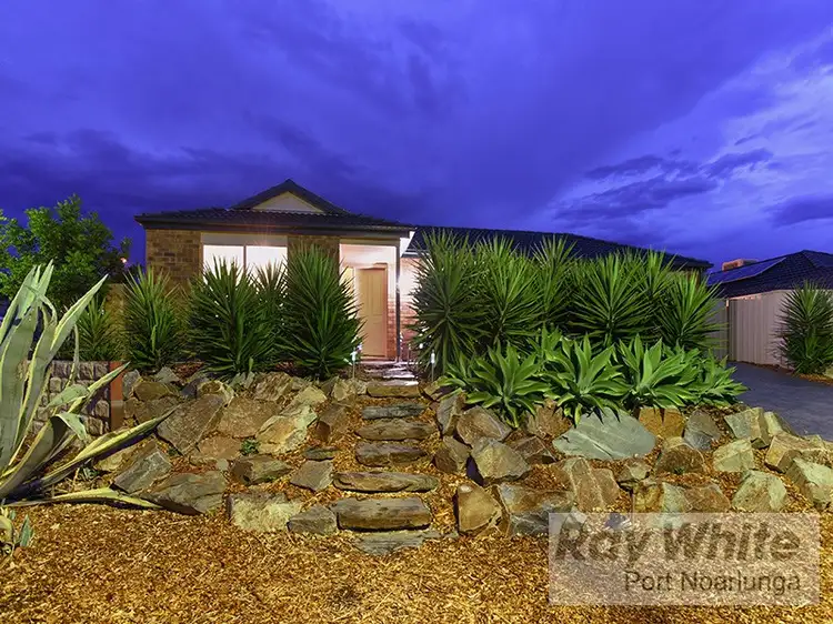 Main view of Homely house listing, 24 Sabella Place, Noarlunga Downs SA 5168