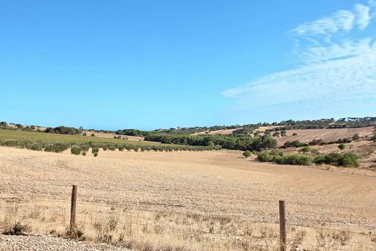 Seventh view of Homely rural property listing, 101 Tuit Road, Maslin Beach SA 5170