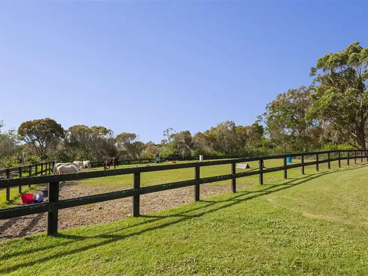 Fifth view of Homely house listing, 6 Chiltern Road, Ingleside NSW 2101