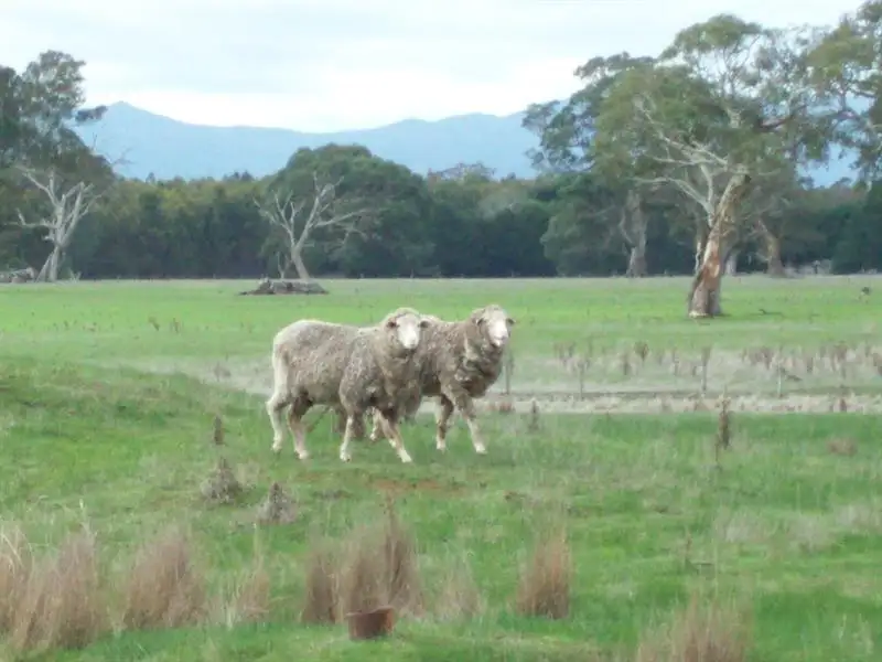 Main view of Homely rural property listing, 9747 Natimuk-Hamilton Road, Cavendish VIC 3314
