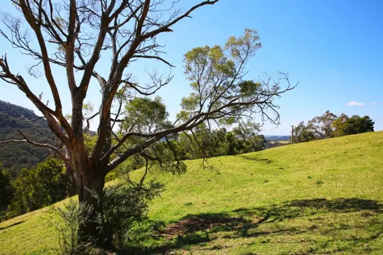 Second view of Homely rural property listing, 131 Daltons Road, Jamberoo NSW 2533