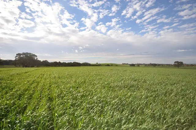 Main view of Homely rural property listing, Lot 3-Ashmore Smith Road, Mintaro SA 5415