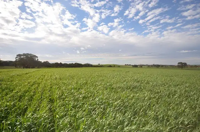 Main view of Homely rural property listing, Lot 3-Ashmore Smith Road, Mintaro SA 5415