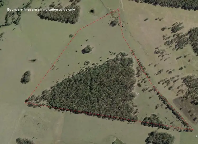 Lot 19 Tullymorgan Road, Tullymorgan NSW 2463