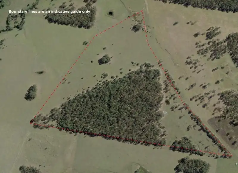 Main view of Homely land listing, Lot 19 Tullymorgan Road, Tullymorgan NSW 2463