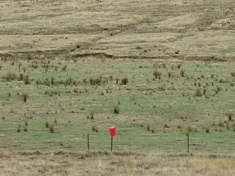 Main view of Homely rural property listing, Address available on request