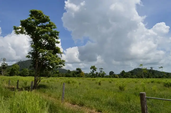 Third view of Homely rural property listing, Lots 2 and 5 Bingil Bay Road, Bingil Bay QLD 4852