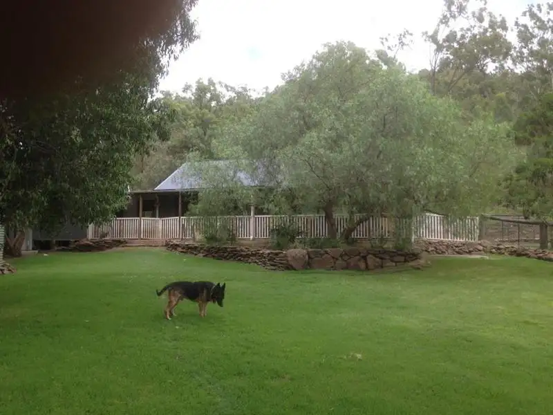 Main view of Homely rural property listing, 568 Plainby Douglas Road, Crows Nest QLD 4355