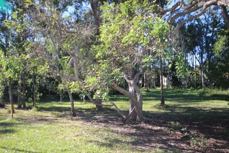 Fifth view of Homely land listing, Lots 39-41 Dyer Street, Landsborough QLD 4550