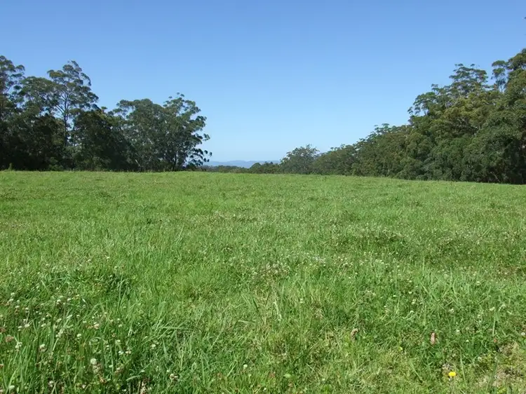 Third view of Homely rural property listing, 447 National Park Road, Ravensbourne QLD 4352