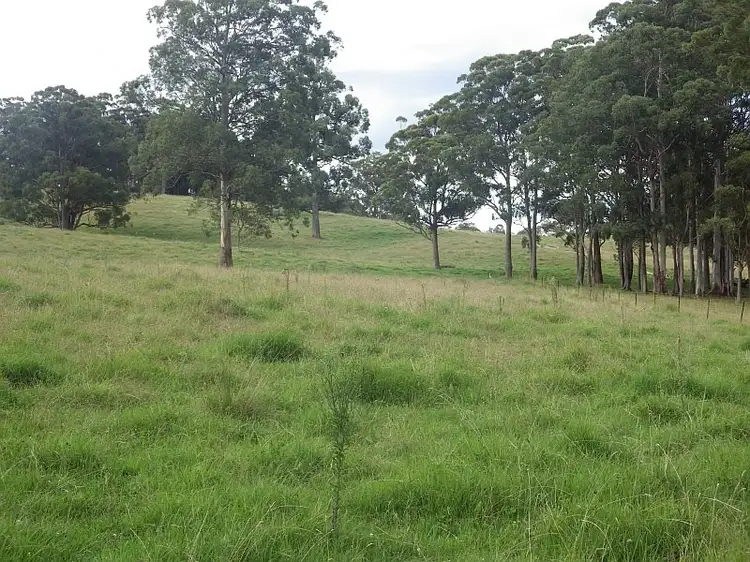 Fifth view of Homely rural property listing, 9408 Armidale Road, Tyringham NSW 2453