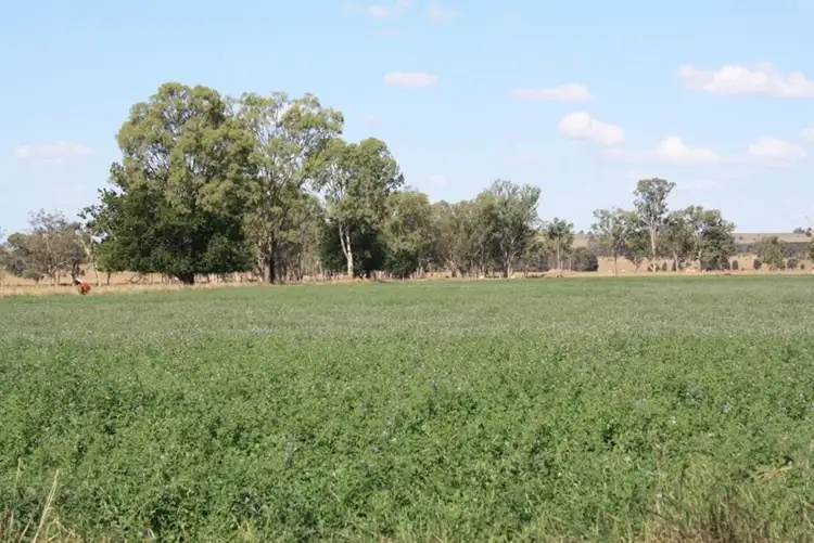 Fourth view of Homely rural property listing, "Shed Block" Loakes Road, Mundubbera QLD 4626