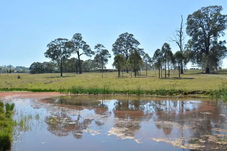 Seventh view of Homely house listing, 2486 Glendonbrook Road, Gresford NSW 2311