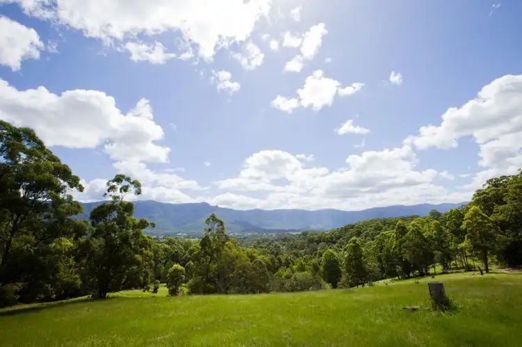 Main view of Homely rural property listing, 1475 Byrrill Creek Road, Tyalgum NSW 2484