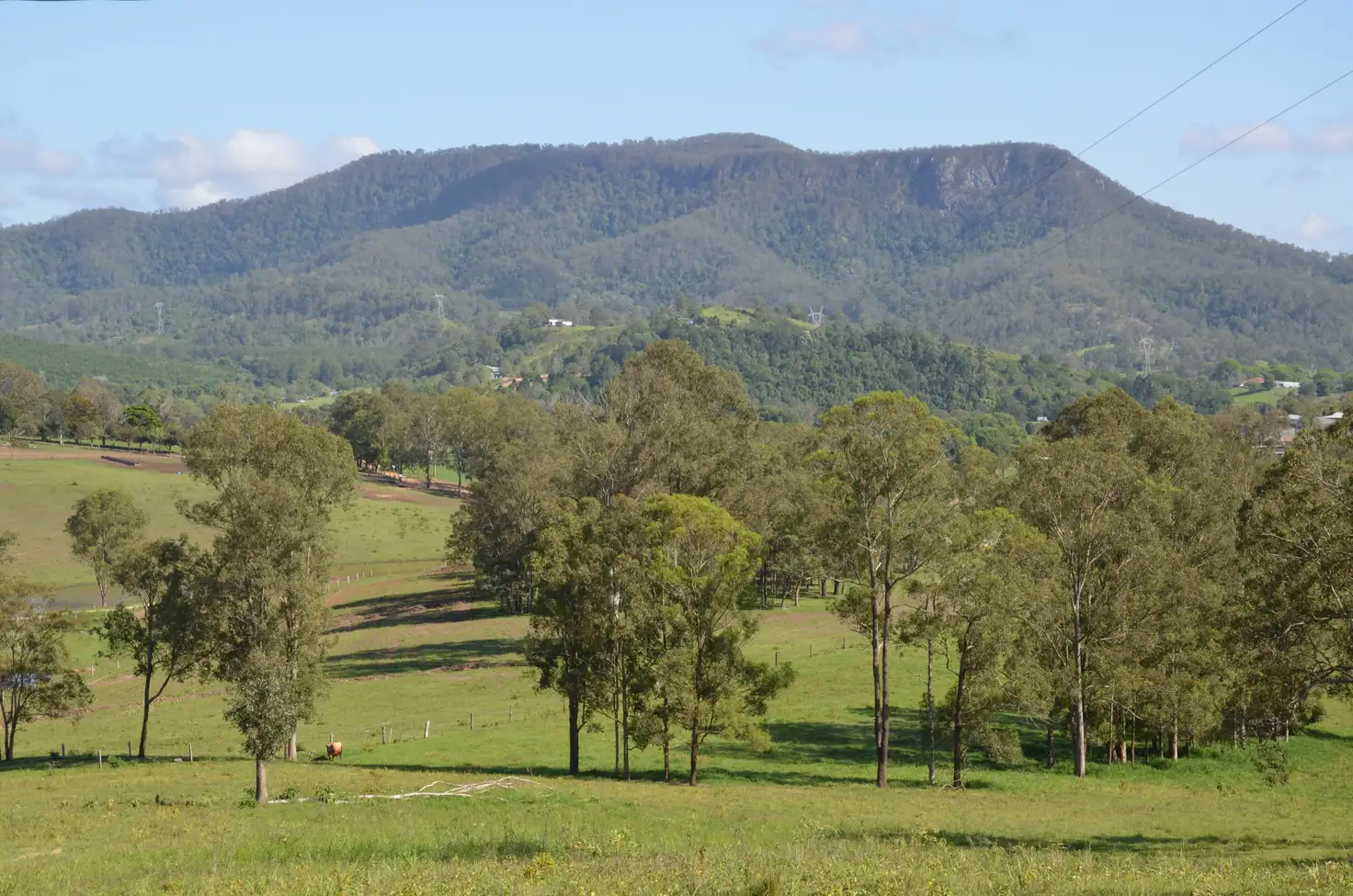 Main view of Homely rural property listing, 2598 Eumundi Kenilworth Road, Kenilworth QLD 4574