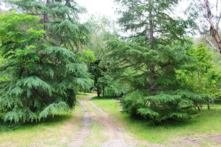 Sixth view of Homely rural property listing, 374 Boree Valley Road, Laguna NSW 2325