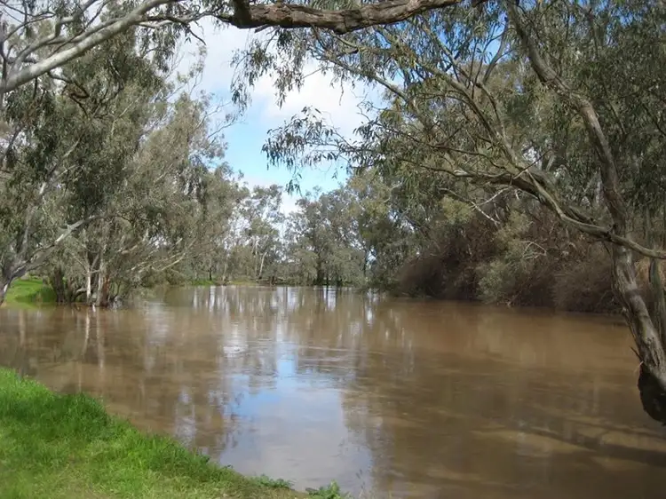 Main view of Homely rural property listing, 0 Lachlan, Forbes NSW 2871