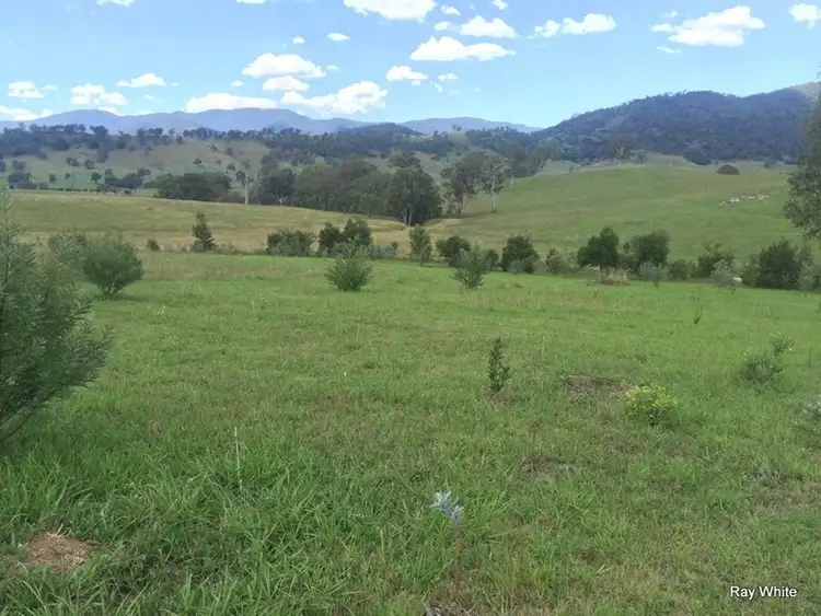 Sixth view of Homely rural property listing, 800 Neringla Road, Araluen NSW 2622