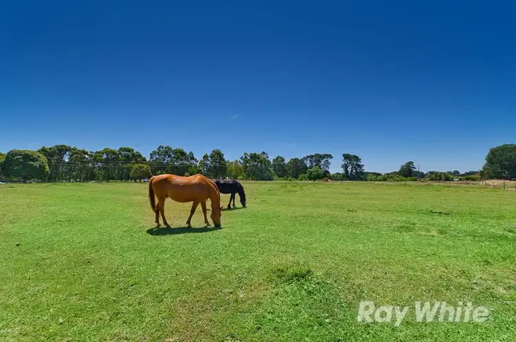 Seventh view of Homely rural property listing, 94 Denham Road, Tyabb VIC 3913