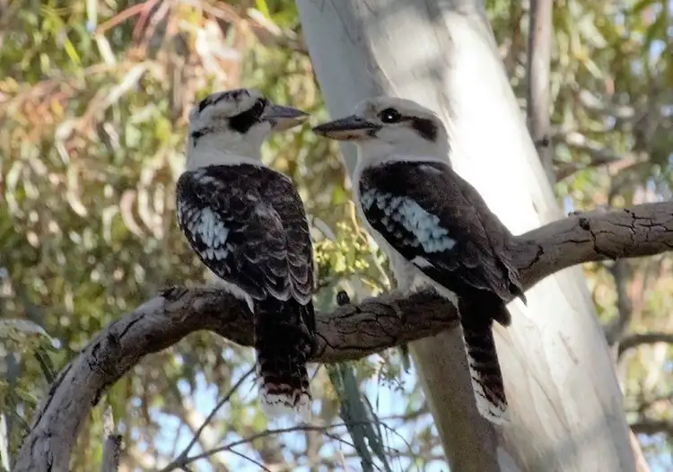Fifth view of Homely house listing, 79-81 Seaview Road, Yatala Vale SA 5126