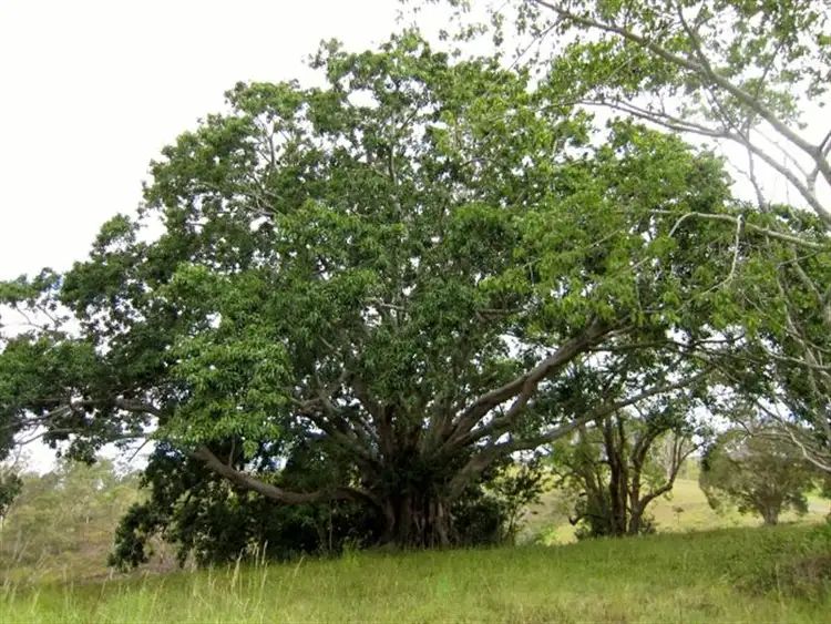 Seventh view of Homely land listing, Lot 5 Grand View Drive, Ocean View QLD 4521