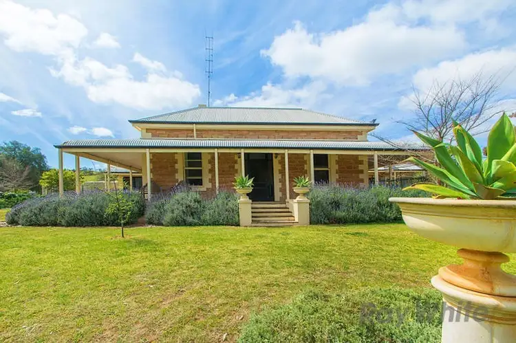 Main view of Homely house listing, 426 Muanu Road, Clare SA 5453
