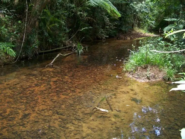 Second view of Homely rural property listing, 2340 Innisfail Japoon Road, Mena Creek QLD 4871