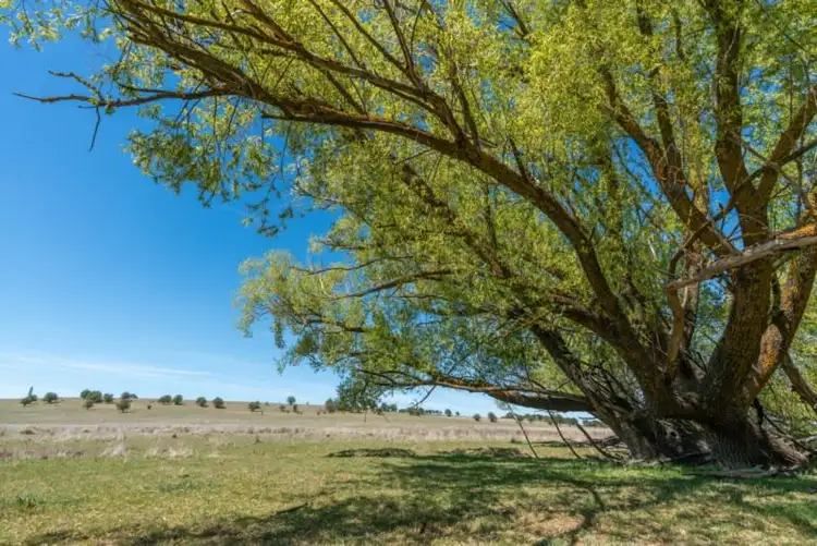 Second view of Homely house listing, 271 Forest Reefs Road, Millthorpe NSW 2798