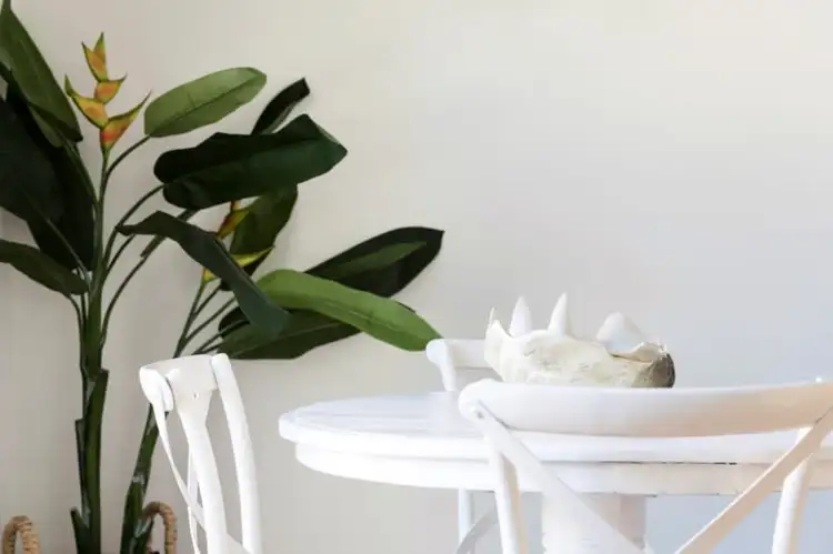 Fourth view of Homely other listing, 9 Gulliver Street, Brookvale NSW 2100