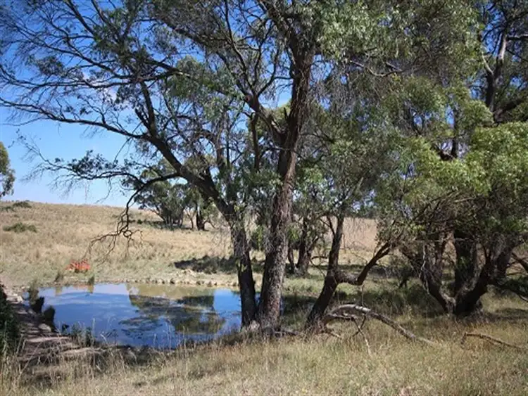 Main view of Homely rural property listing, 125 Hazelgrove Road, Oberon NSW 2787