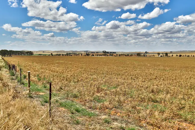 Third view of Homely rural property listing, "Donara" Donara Road, Mount Bryan SA 5418
