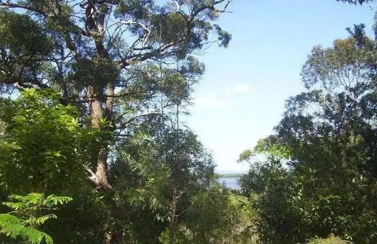 Third view of Homely land listing, 31 Magnolia Street, Russell Island QLD 4184