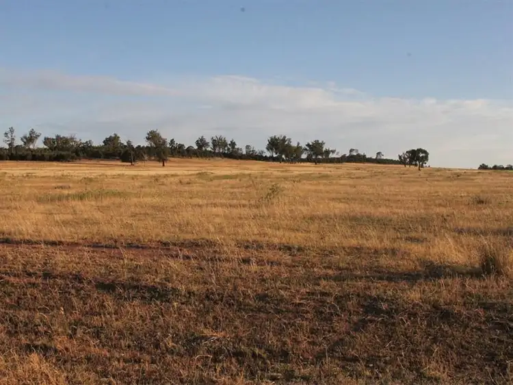 Lot 1 Sunset Ridge, Forbes NSW 2871