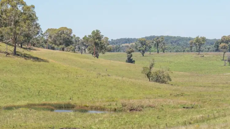 Fifth view of Homely rural property listing, Elderbury 250 Northbrook Road, Guyra NSW 2365