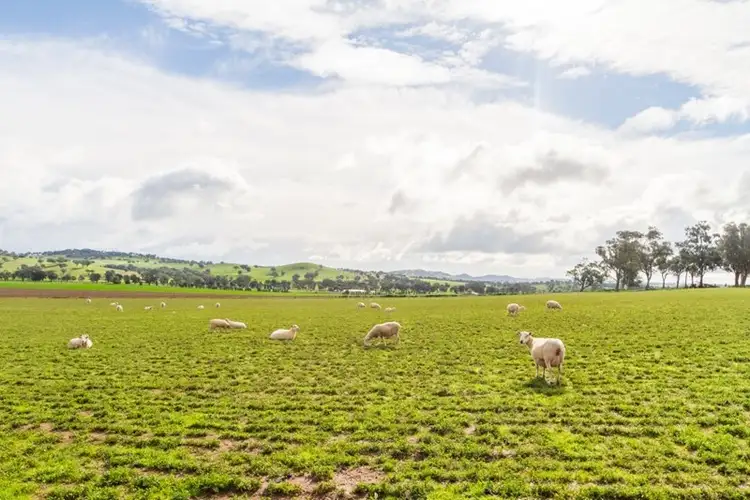 Fourth view of Homely rural property listing, 263 Camp Road, Cowra NSW 2794