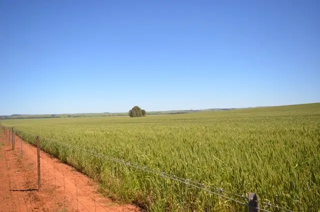 Lots 21-25, 94 Sod Hut Road, Farrell Flat SA 5416