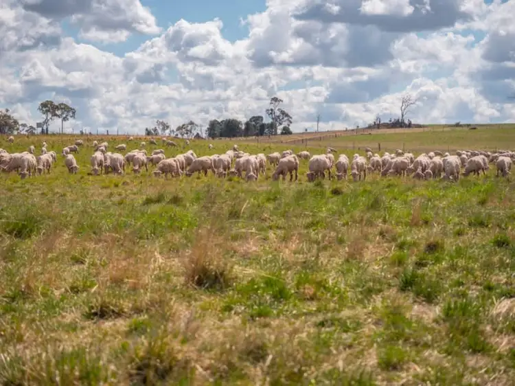 Second view of Homely rural property listing, Otterbourne 506 Enmore Road, Armidale NSW 2350