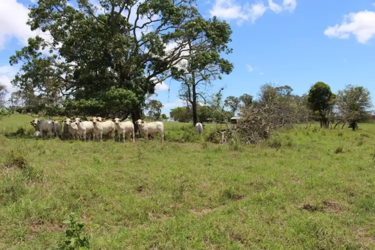 Third view of Homely house listing, 89808 Bruce Highway, Sarina QLD 4737