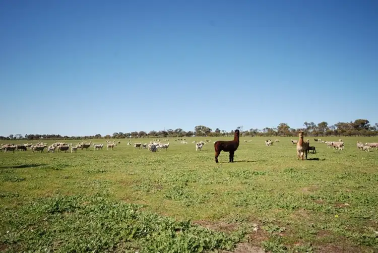 Second view of Homely land listing, 10 Yilliminning Road, Narrogin WA 6312