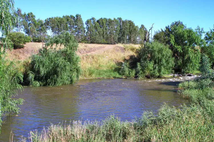 Main view of Homely rural property listing, 36 Rushes Creek Road, Manilla NSW 2346