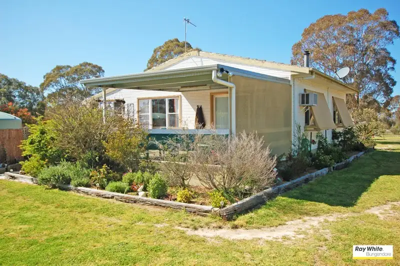 Main view of Homely house listing, 125 Jamaleopa Road, Bungendore NSW 2621