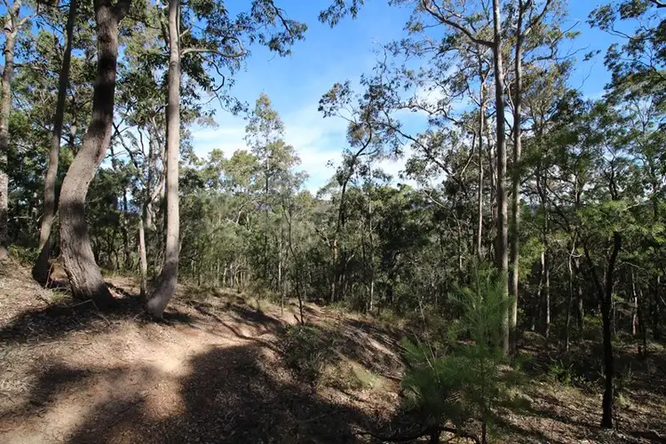 Seventh view of Homely rural property listing, Lot 153 Bellamy Street, Millfield NSW 2325