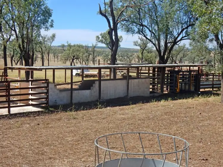 Seventh view of Homely rural property listing, 4324 Crowsdale Camboon Road, Biloela QLD 4715