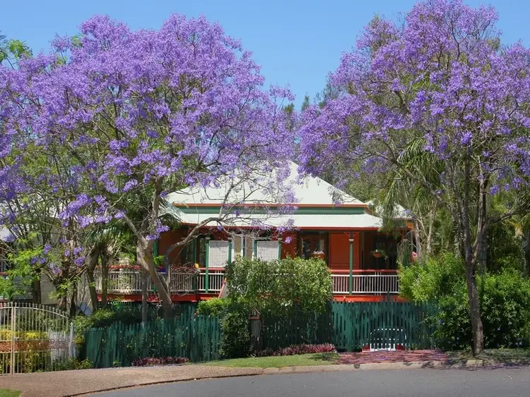 Main view of Homely house listing, 19 Wattle Avenue, Yeerongpilly QLD 4105