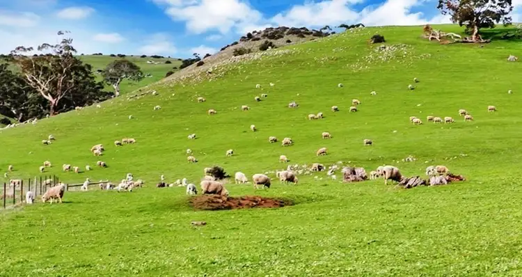 Second view of Homely rural property listing, Lot 325 Old Glen Road, Pewsey Vale SA 5351