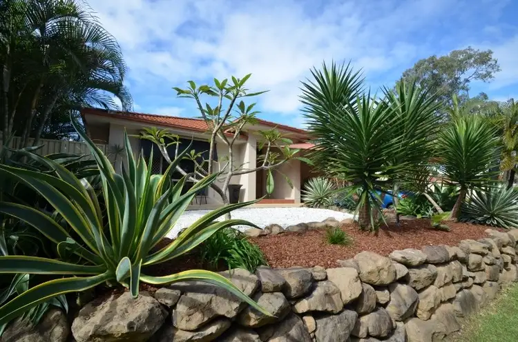 Main view of Homely house listing, 84 Tiger Drive, Arundel QLD 4214